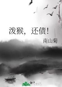 泼猴，还债！