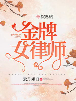 金牌女律师电视剧