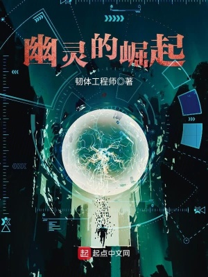 幽灵的崛起 韧体工程师TXT下载