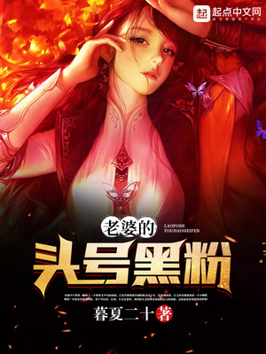 老婆的头号黑粉 小说