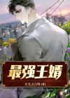 都市超强狂婿