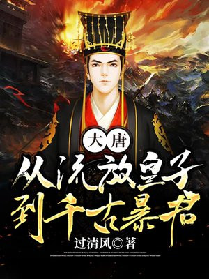 大唐从流放皇子到千古暴君小说