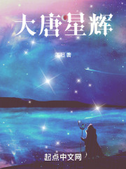 大唐星辉起点