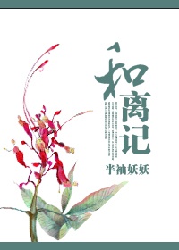 和离记(大唐商女传)