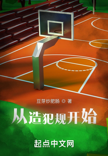 犯规开始有小说吗