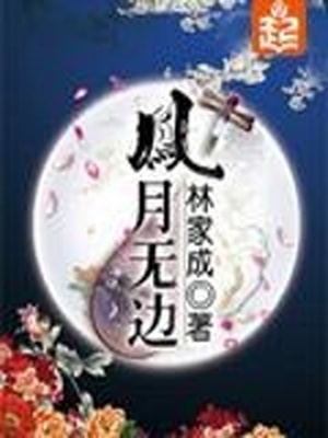 凤月无边小说