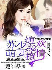 小说:宠妻