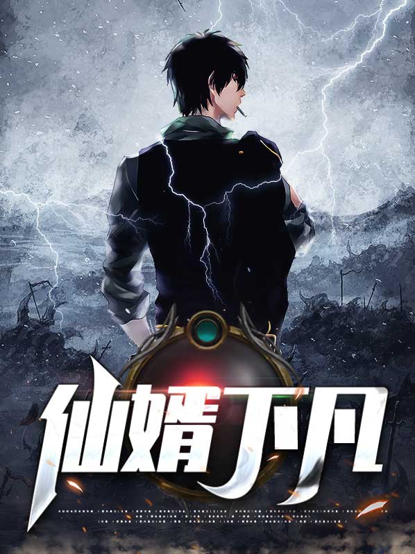 仙婿下凡
