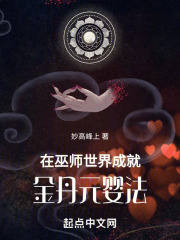 巫师世界成就金丹元婴法下载