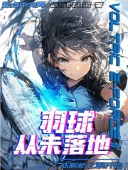 羽毛球解析