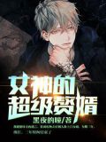 超级赘婿线上看
