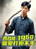 四合院1960就爱打抱不平小说