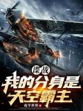 谍战:我的分身是天空霸主免费阅读
