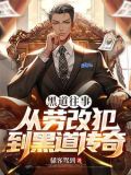 黑道往事二十年电视剧