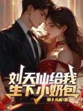 女主角刘天仙的都市小说