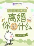 爱你你嫌弃,离婚你跪什么小说
