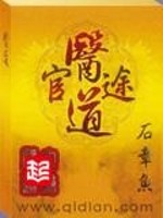 国医高手txt