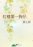 红楼第一狗仔免费阅读
