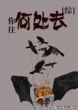 你往何处去 小说