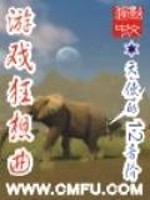 游戏狂想曲小说