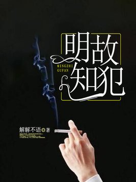 明知故犯歌曲