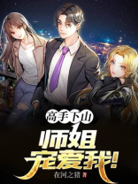 高手下山：师姐宠爱我！