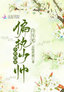 小娇娇是偏执少帅的