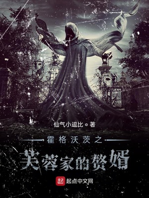 霍格沃茨之芙蓉家的赘婿txt
