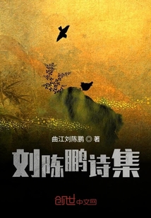 诗人陈鹏