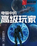 电弧中的高级玩家