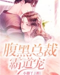 腹黑总裁霸道宠