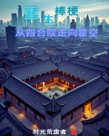 重生棒梗,带贾家发家致富