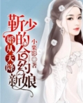 婚从天降:靳少的合约新娘