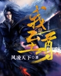 我是至尊