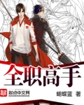 全职高手