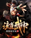 流星武神