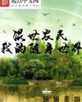 混世农民之我的随身世界