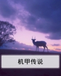 机甲传说