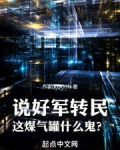 说好军转民,这煤气罐什么鬼?