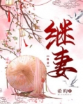 继妻