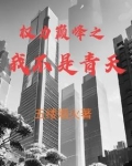 权力巅峰之我不是青天小说