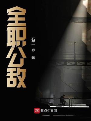 全职公敌TXT下载