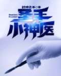 圣手小神医