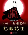 木叶:左眼轮回,右眼转生