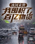 冰河末世我囤积了百亿物资