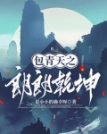 包公探案
