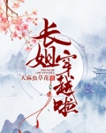 长姐穿越啦