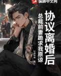 协议离婚后,总裁前妻跪求我原谅