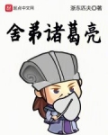 舍弟诸葛亮