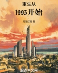 重生从1993开始